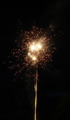 t_IMG_5379.jpg